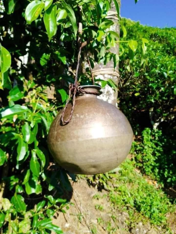 فندق Hamadhi Guest Haldummulla المظهر الخارجي الصورة