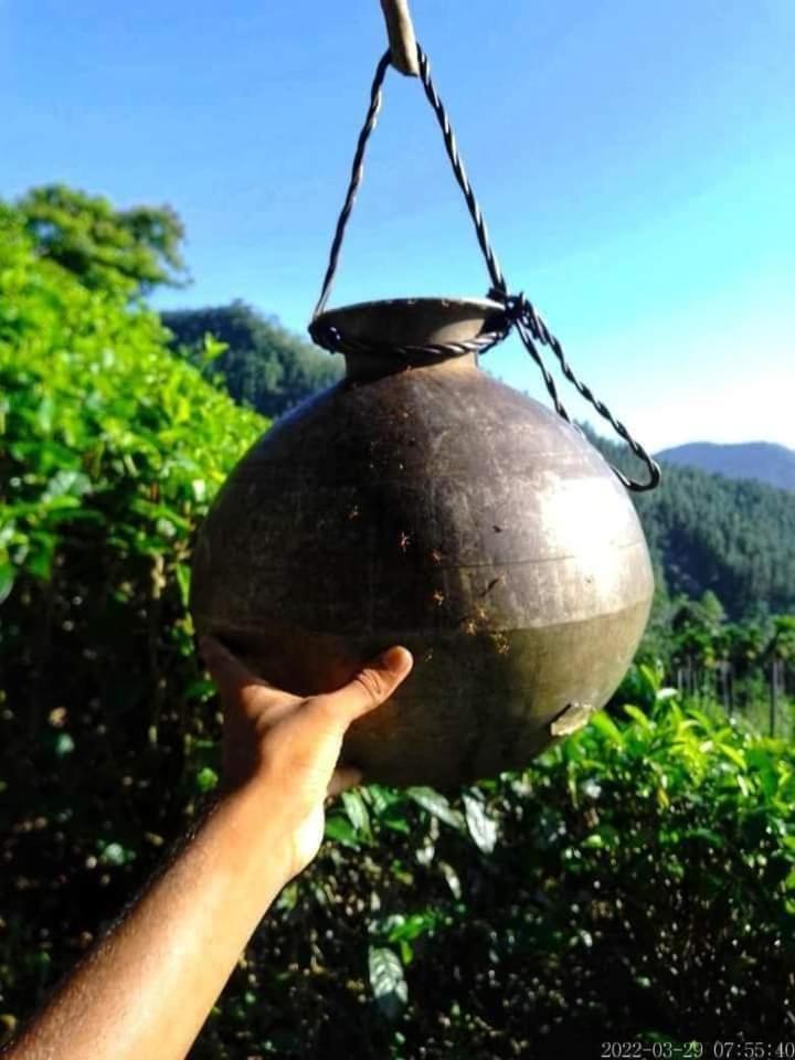 فندق Hamadhi Guest Haldummulla المظهر الخارجي الصورة